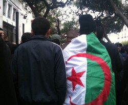 alger 2