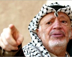 arafat